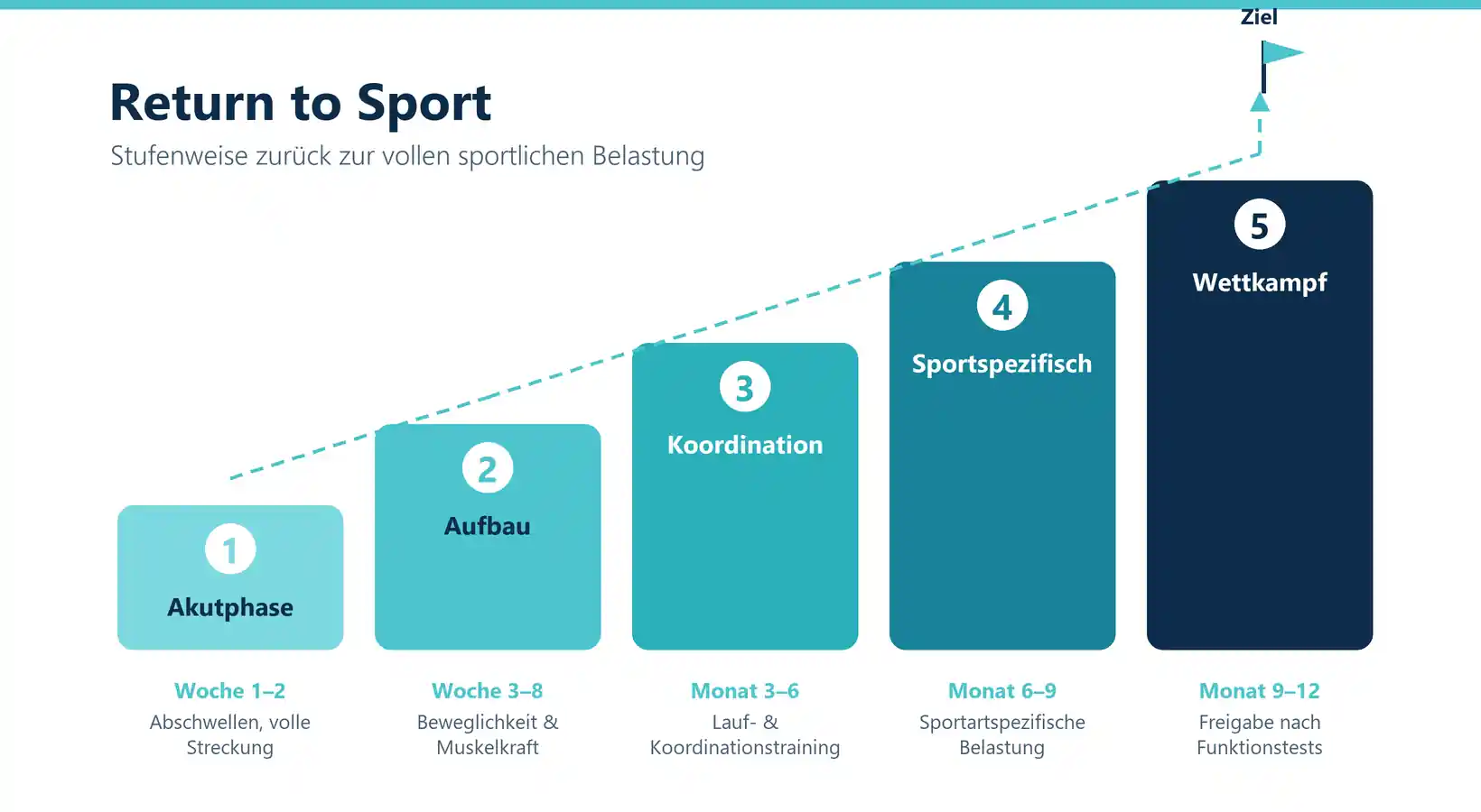 Abbildung des Return-to-Sport-Stufenplans